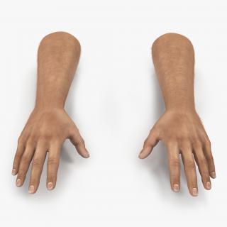 3D Man Hands with Fur model