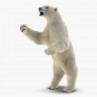 3D Polar Bear with Fur Pose 3