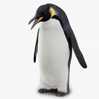 3D Penguin Pose 3 with Fur model