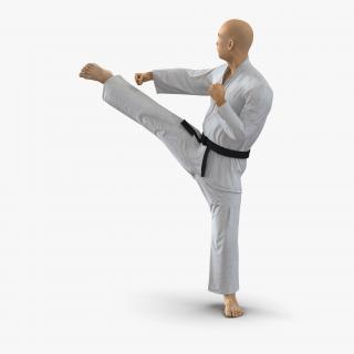 3D model Japanese Karate Fighter Pose 2