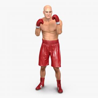 3D Boxer Man 2 Pose 2 model