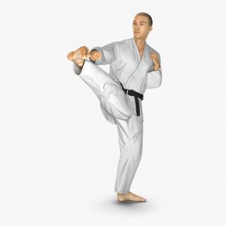 Japanese Karate Fighter Pose 2 with Fur 3D model