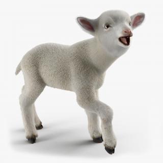 3D model Lamb Rigged with Fur