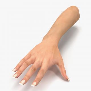 3D Female Hand 2 model