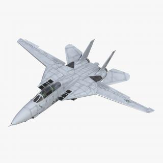 F-14 Tomcat US Combat Aircraft Rigged 3D