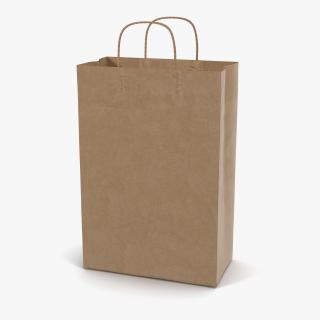 3D Paper Bag With Handle