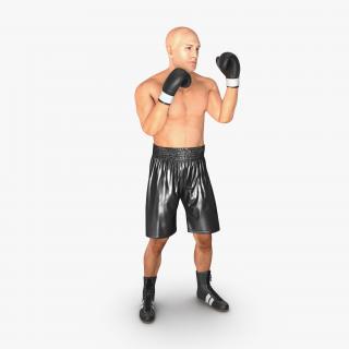 Adult Boxer Man 2 Pose 2 3D model