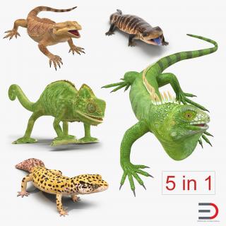 3D model Rigged Lizards Collection