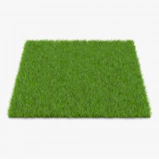 Fescue Grass 3D