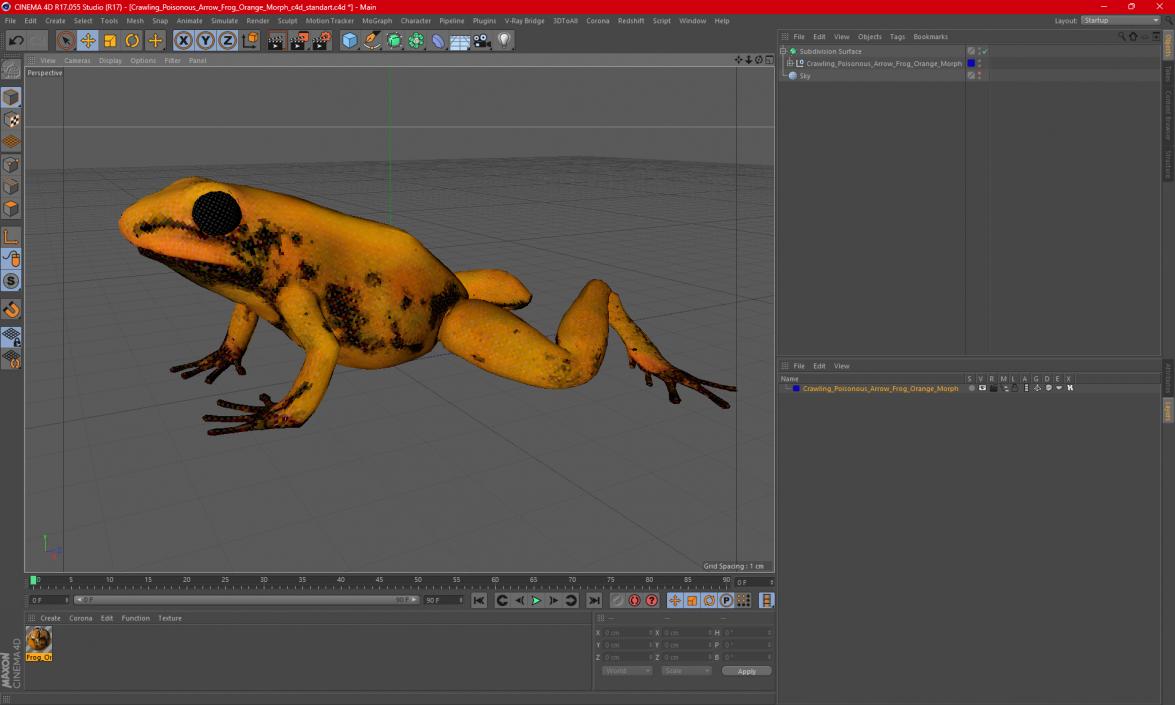 Crawling Poisonous Arrow Frog Orange Morph 3D