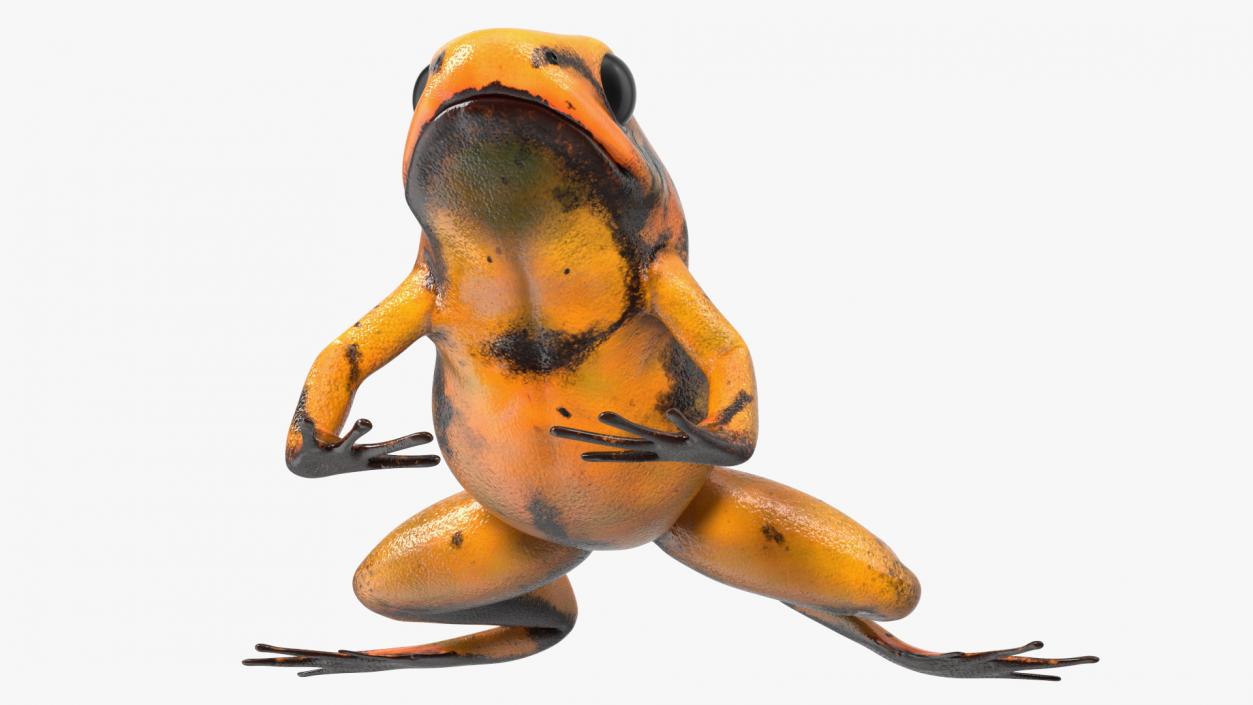 Crawling Poisonous Arrow Frog Orange Morph 3D