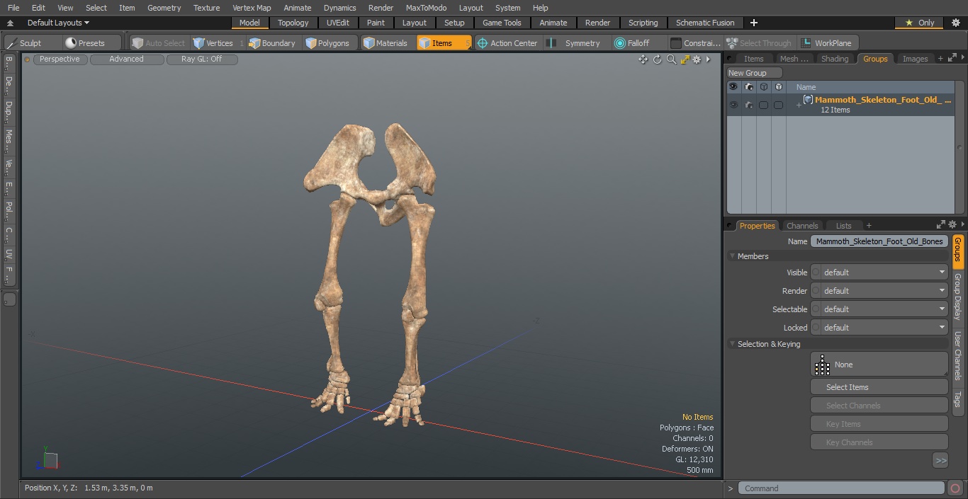 3D Mammoth Skeleton Foot Old Bones