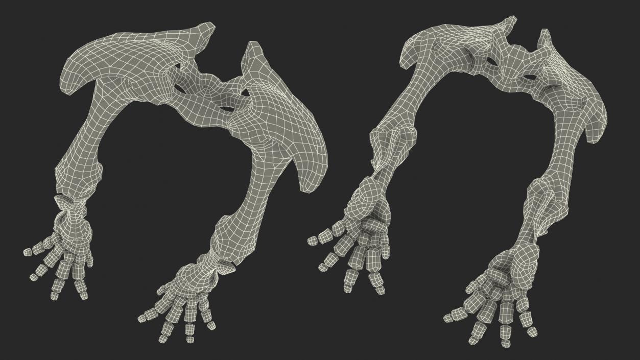 3D Mammoth Skeleton Foot Old Bones