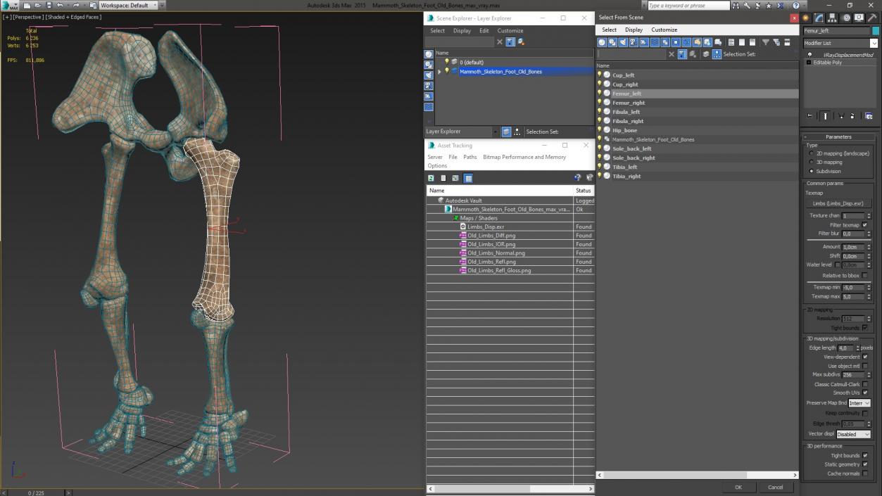 3D Mammoth Skeleton Foot Old Bones