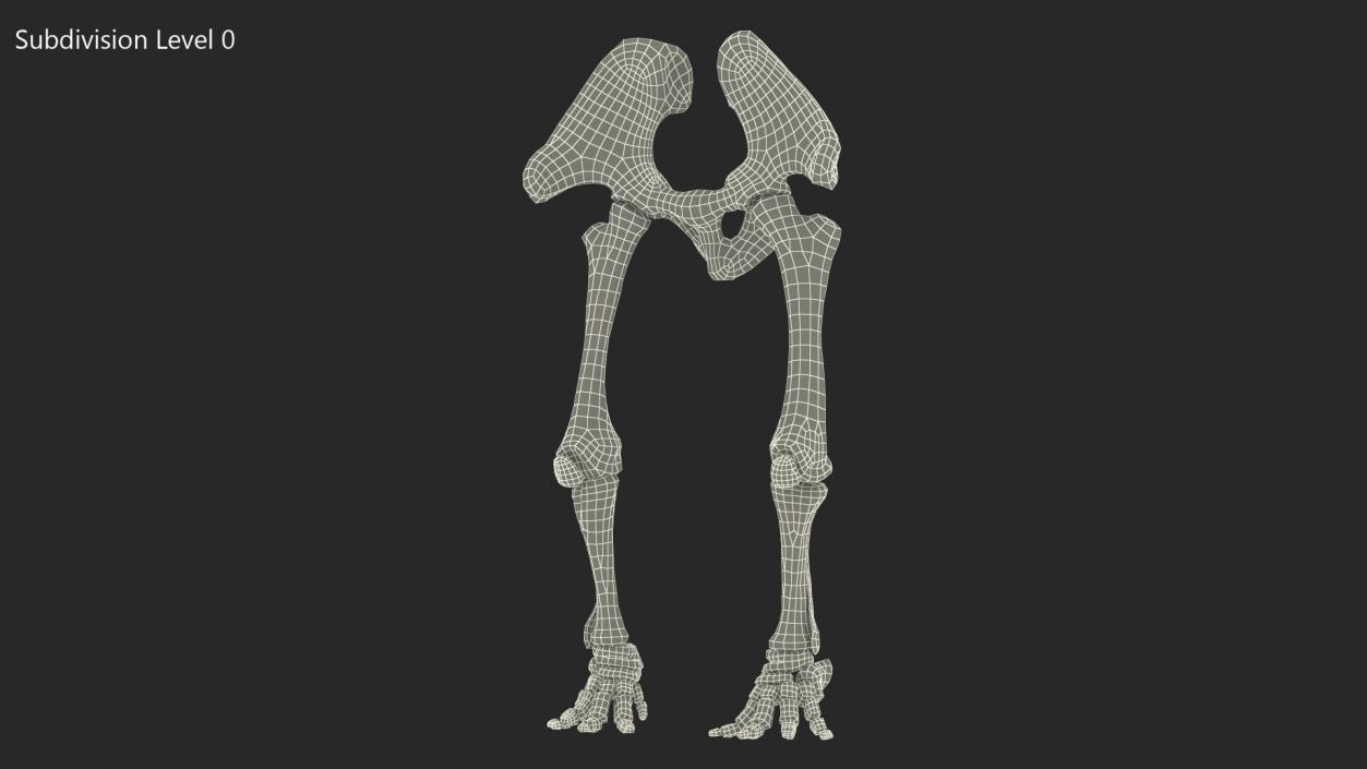 3D Mammoth Skeleton Foot Old Bones