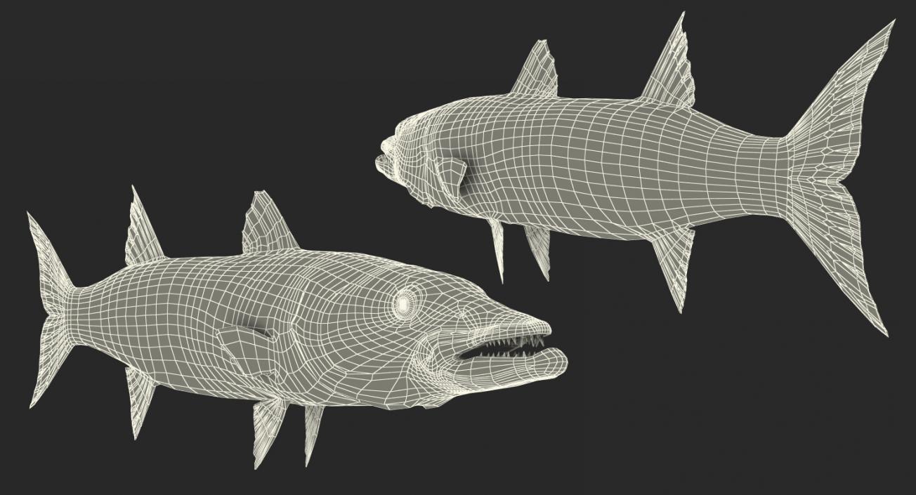 3D Rigged Fishes 3D Models Collection 4