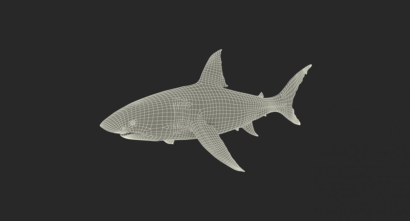 3D Rigged Fishes 3D Models Collection 4