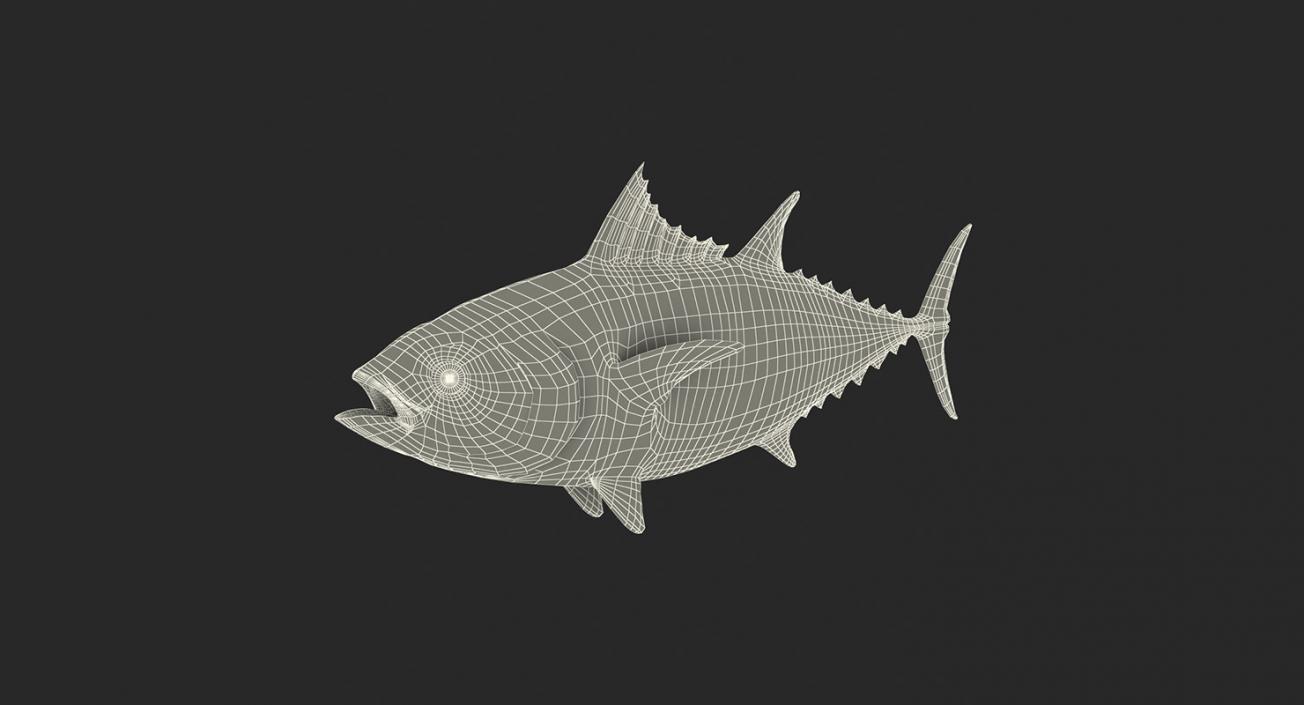 3D Rigged Fishes 3D Models Collection 4