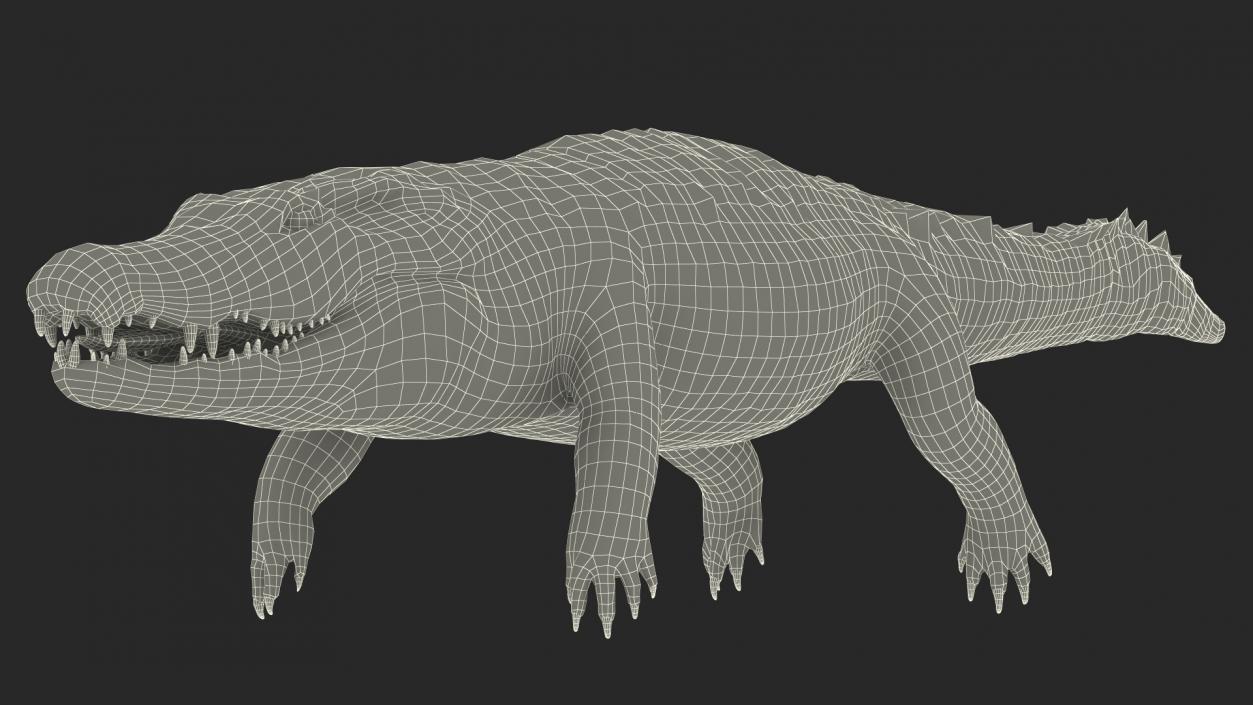 Black Caiman 3D