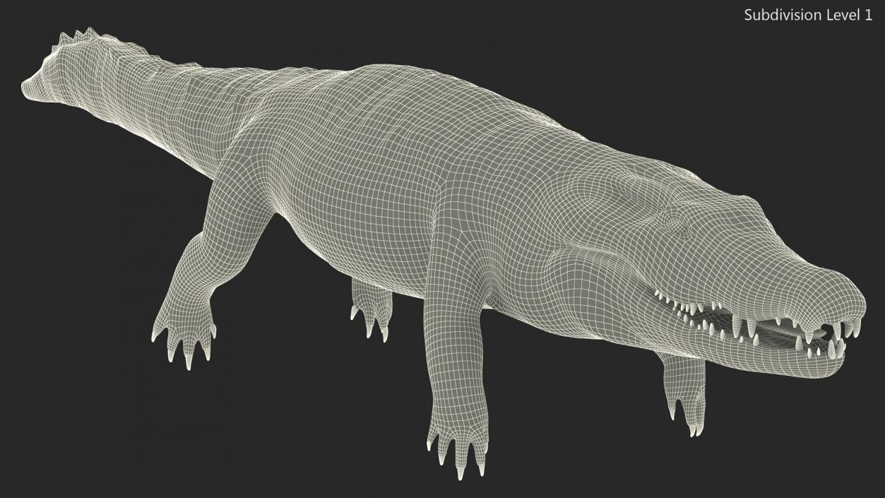 Black Caiman 3D