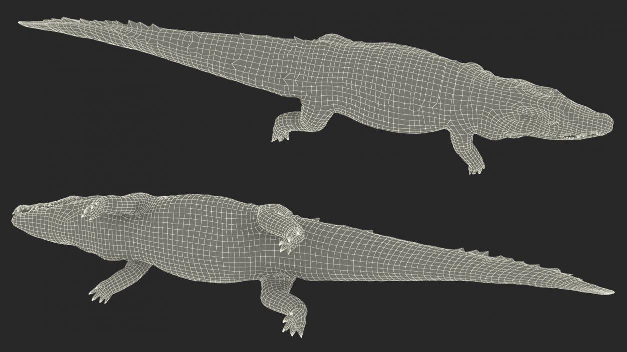 Black Caiman 3D