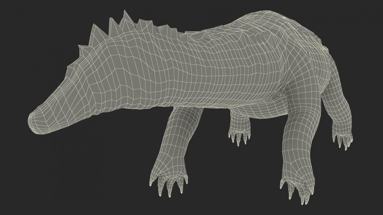 Black Caiman 3D