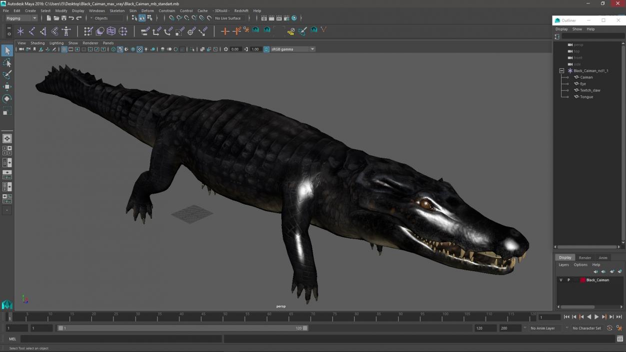 Black Caiman 3D