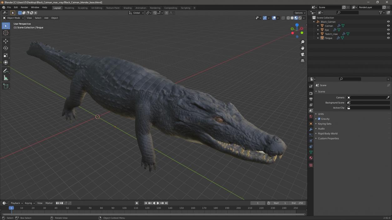 Black Caiman 3D