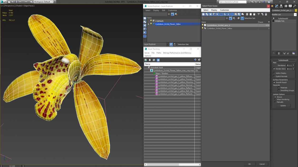 3D model Cymbidium Orchid Flower Yellow