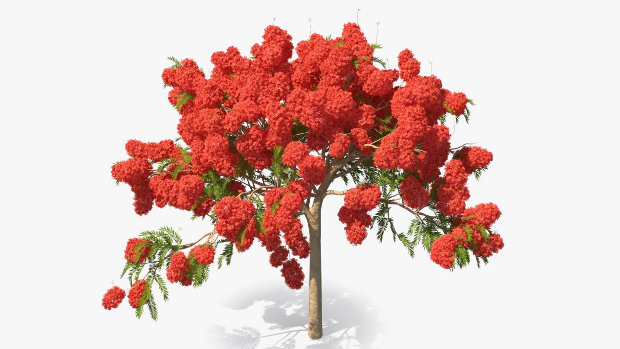 Flowering Bushes and Trees Collection 5 3D model