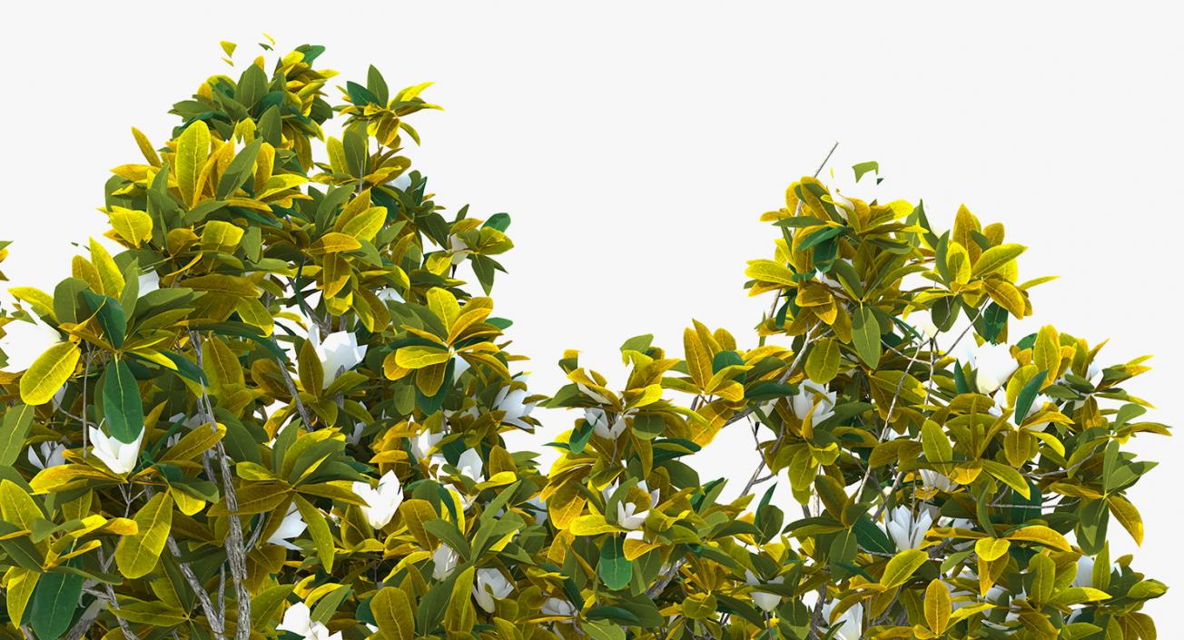 Flowering Bushes and Trees Collection 5 3D model