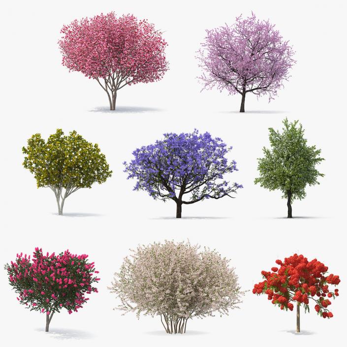 Flowering Bushes and Trees Collection 5 3D model