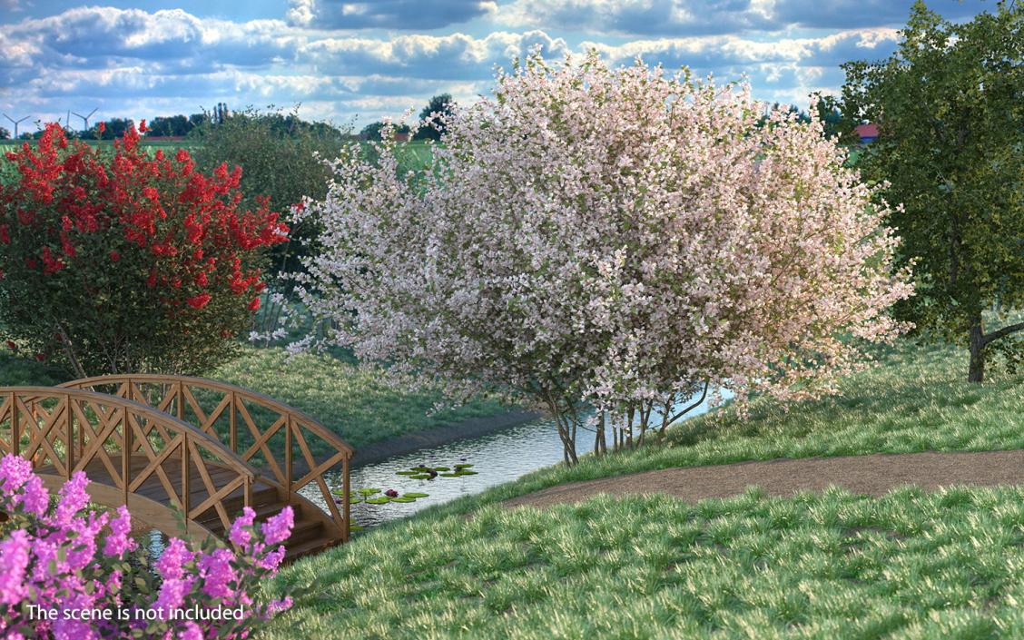 Flowering Bushes and Trees Collection 5 3D model