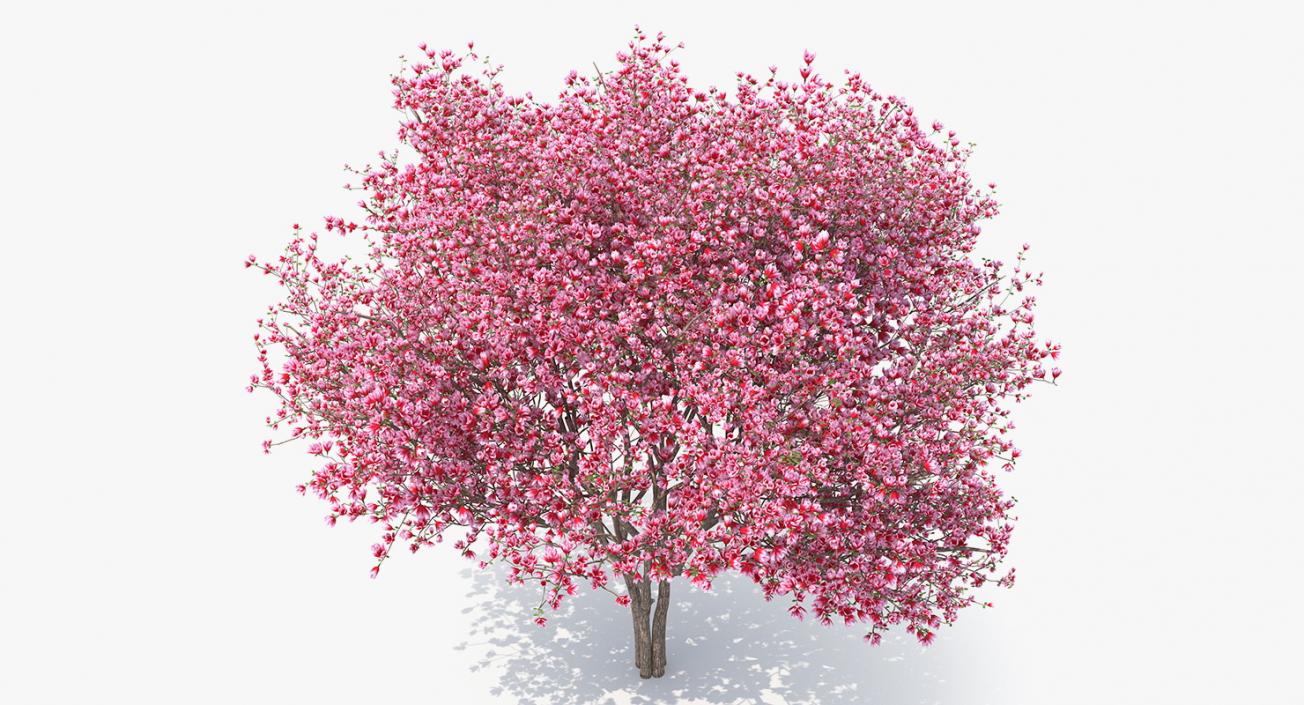 Flowering Bushes and Trees Collection 5 3D model