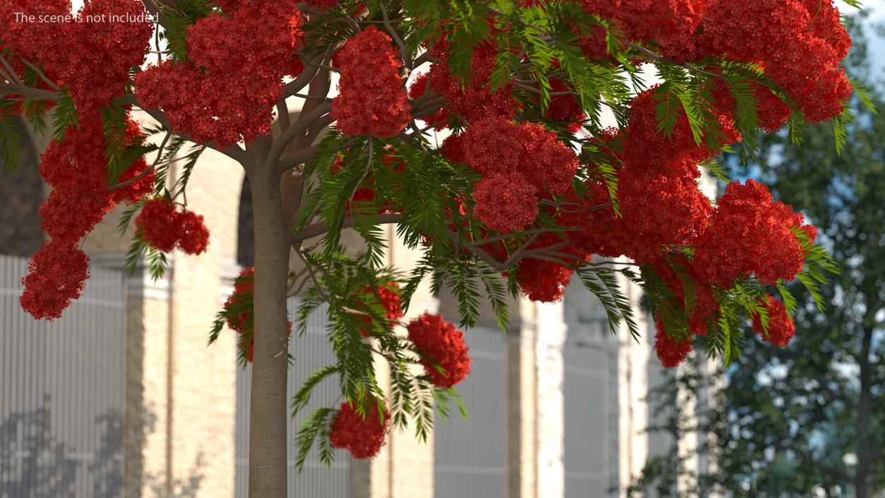 Flowering Bushes and Trees Collection 5 3D model