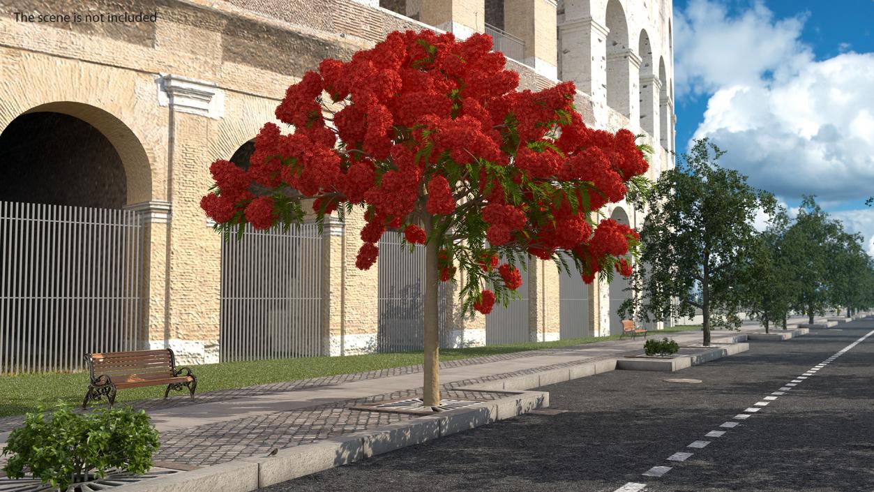 Flowering Bushes and Trees Collection 5 3D model