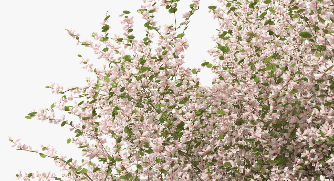 Flowering Bushes and Trees Collection 5 3D model