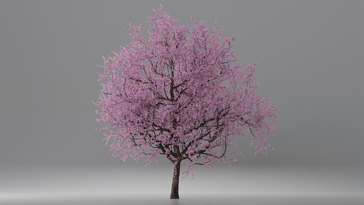 Flowering Bushes and Trees Collection 5 3D model