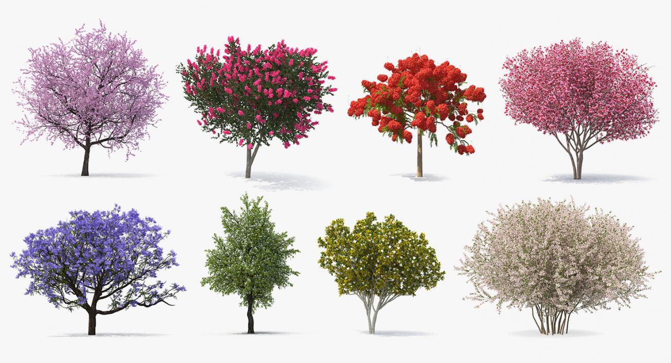 Flowering Bushes and Trees Collection 5 3D model