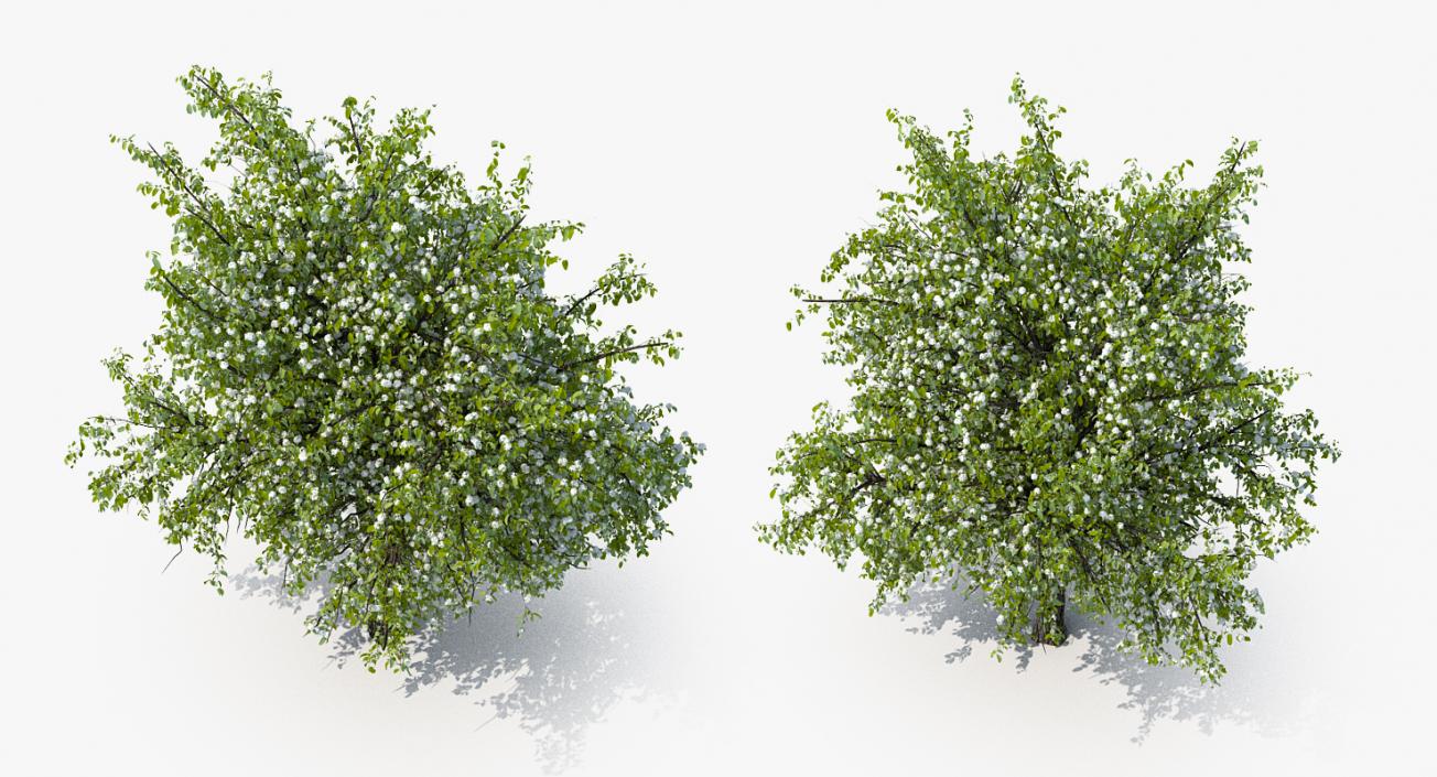 Flowering Bushes and Trees Collection 5 3D model