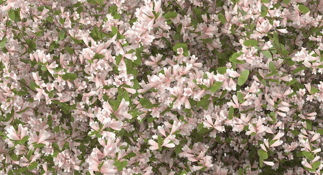 Flowering Bushes and Trees Collection 5 3D model