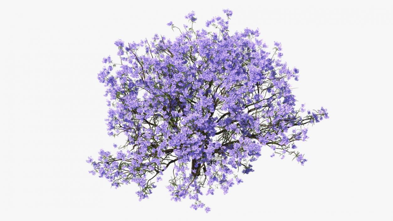 Flowering Bushes and Trees Collection 5 3D model