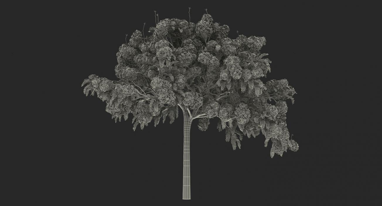 Flowering Bushes and Trees Collection 5 3D model