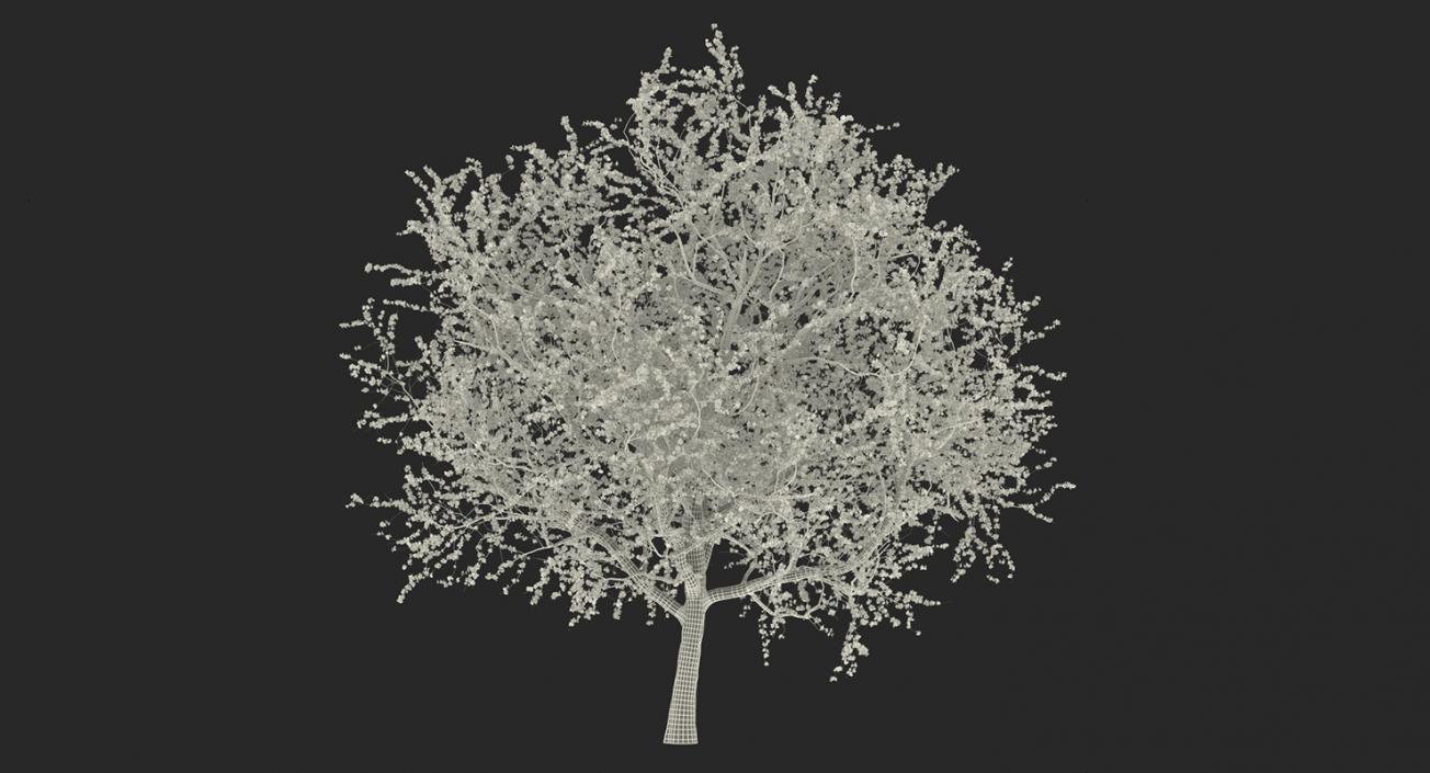 Flowering Bushes and Trees Collection 5 3D model