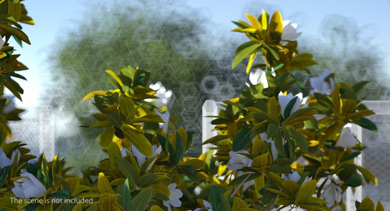 Flowering Bushes and Trees Collection 5 3D model