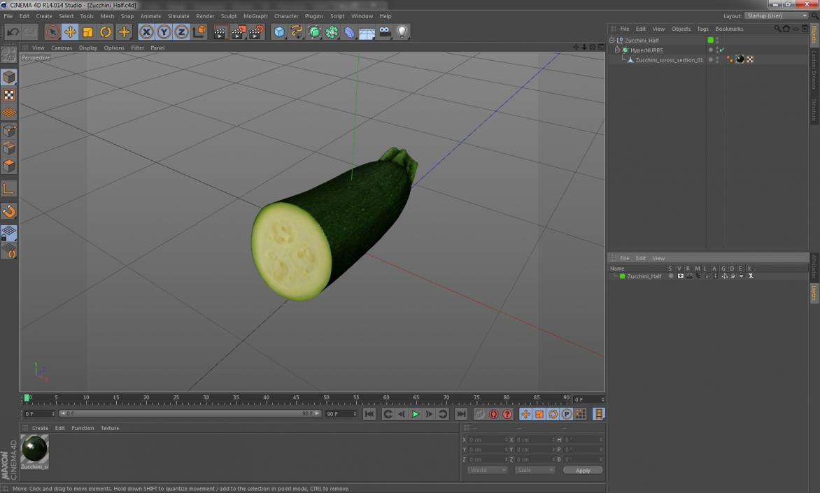 3D Zucchini Half model