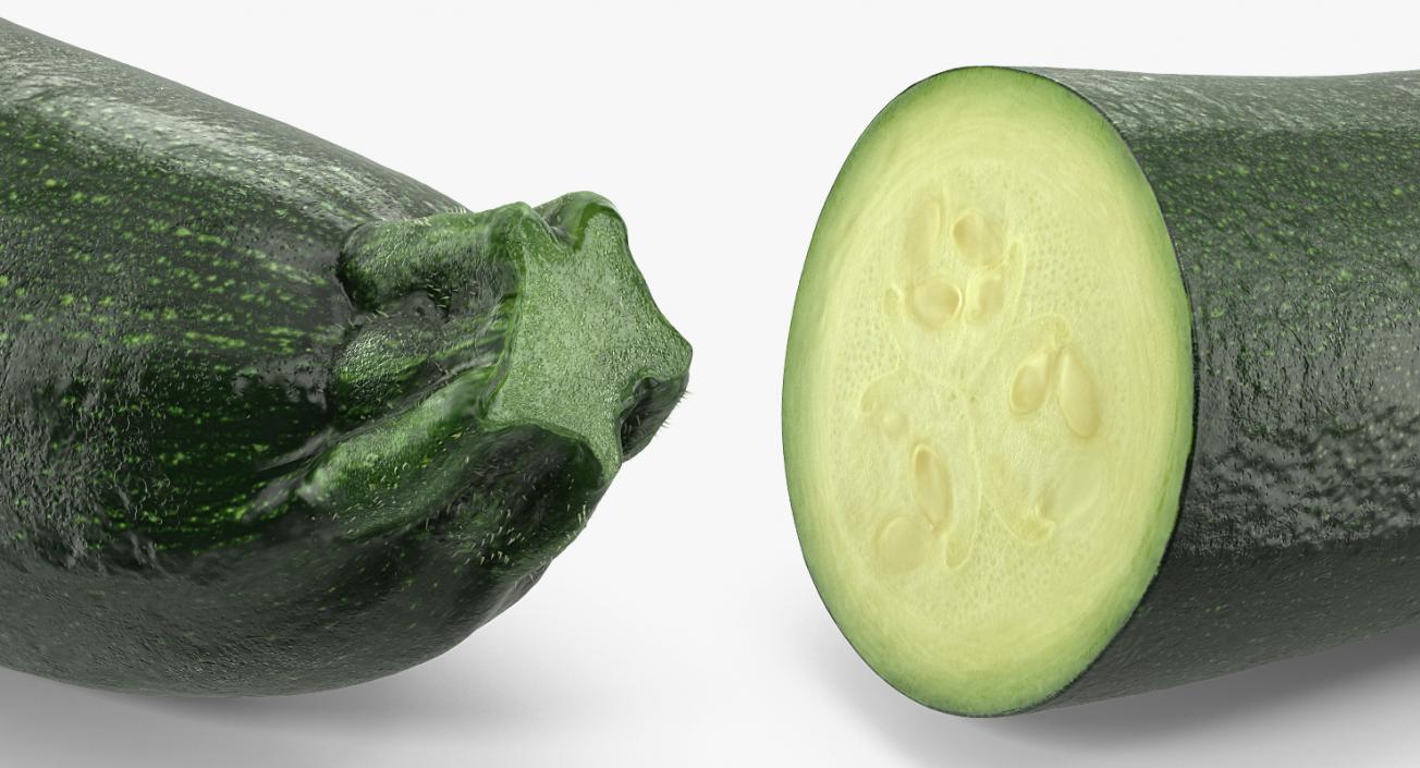 3D Zucchini Half model