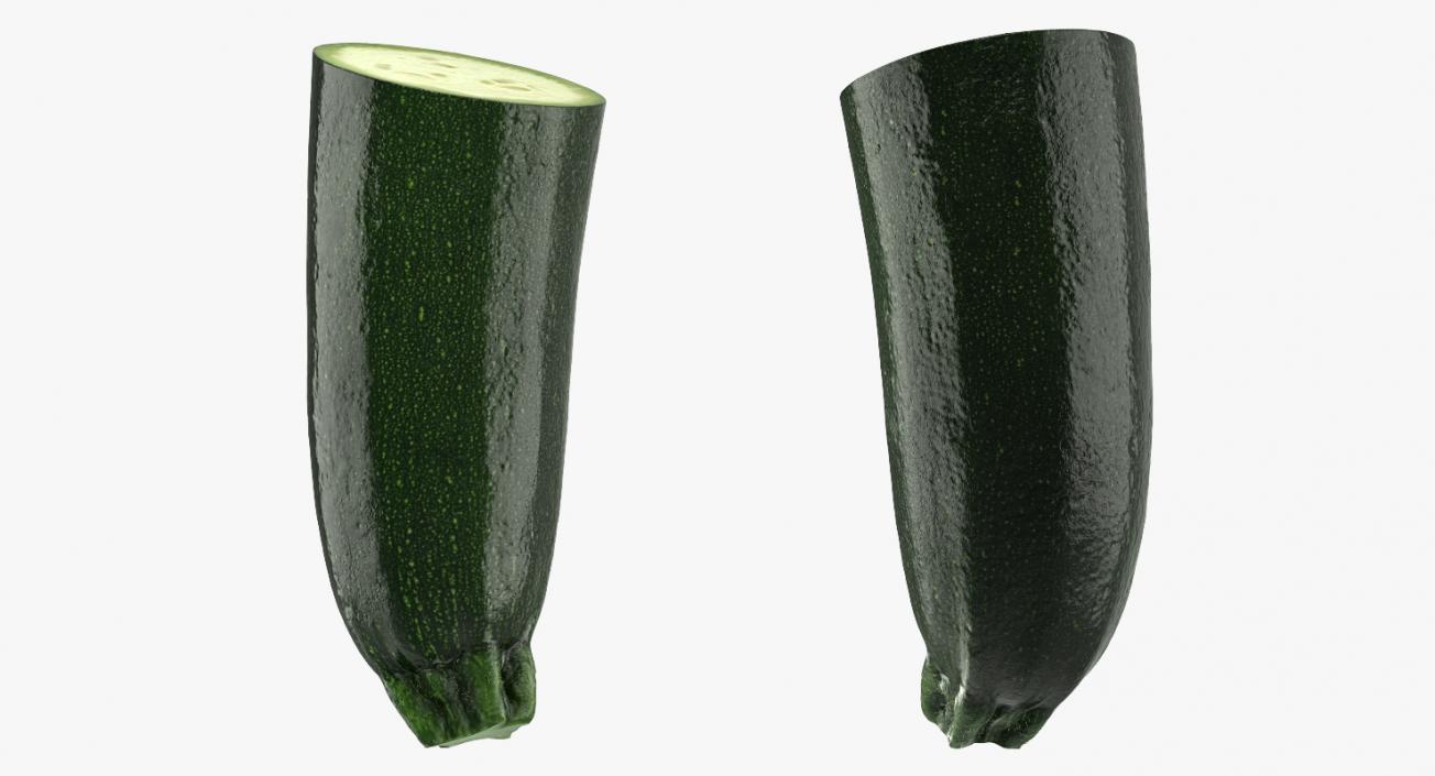 3D Zucchini Half model