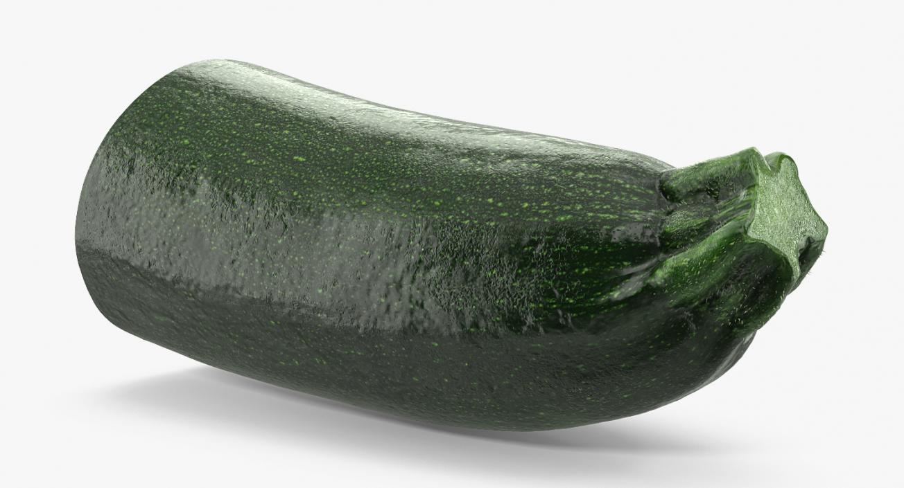 3D Zucchini Half model