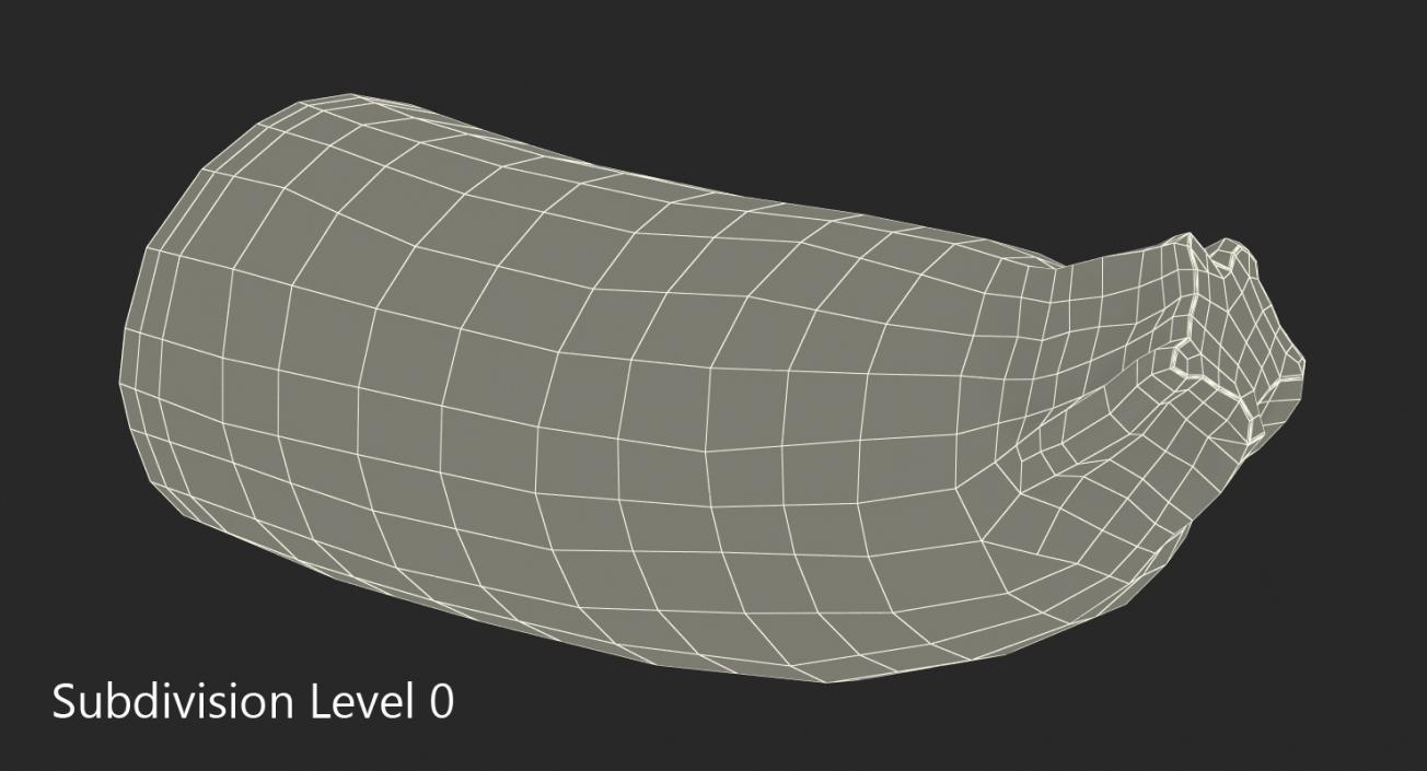 3D Zucchini Half model